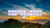 深圳殺蟲講解：如何有效滅蟑螂，廚房蟑螂該怎么滅？