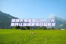 深圳滅蟲殺蟲公司 三大條件讓深圳害蟲日益繁多