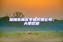 深圳東城區(qū)專業(yè)滅蟲公司，大受歡迎