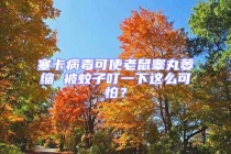 塞卡病毒可使老鼠睪丸萎縮 被蚊子叮一下這么可怕？
