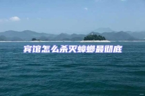 賓館怎么殺滅蟑螂最徹底