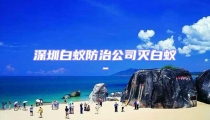深圳白蟻防治公司滅白蟻-