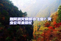 如何消滅蛾蠓小飛蟲？滅蟲公司來幫忙