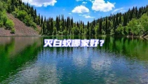 滅白蟻哪家好？