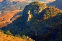 深圳滅鼠哪家公司最專業