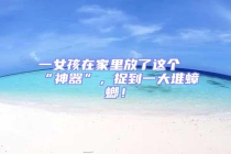 一女孩在家里放了這個“神器”，捉到一大堆蟑螂！