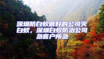 深圳防白蟻很好的公司滅白蟻，深圳白蟻防治公司急客戶所急