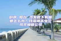 廚房 陽臺 沙發底下有蟑螂怎么辦？找深圳殺蟲公司滅蟑螂公司