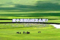 家中發現白蟻怎么滅？