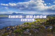 白蟻防治：混凝土也會被白蟻蛀蝕