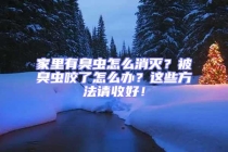 家里有臭蟲怎么消滅？被臭蟲咬了怎么辦？這些方法請收好！