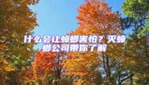 什么會(huì)讓蟑螂害怕？滅蟑螂公司帶你了解
