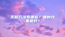 滅鼠方法有哪些？哪種效果最好？