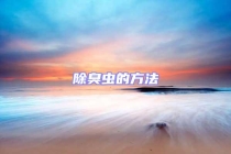 除臭蟲的方法