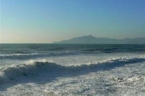 老鼠怕什么東西？怕什么味道和聲音？