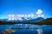 蟑螂一般藏在哪里？深圳殺蟲公司