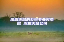 深圳滅鼠的公司專業(yè)滅老鼠 深圳滅鼠公司