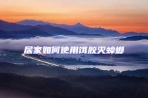 居家如何使用餌膠滅蟑螂