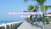 深圳白蟻防治站淺談白蟻的危害