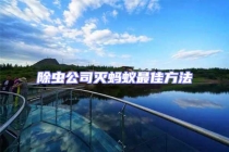 除蟲(chóng)公司滅螞蟻?zhàn)罴逊椒? uk-img class=