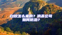 白蟻怎么來的？消殺公司如何防治？