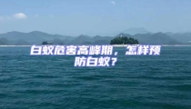 白蟻危害高峰期，怎樣預(yù)防白蟻？