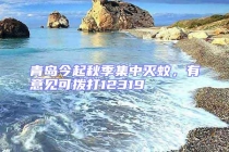 青島今起秋季集中滅蚊，有意見(jiàn)可撥打12319