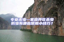 專業殺蟲--家庭養花殺蟲防蟲有哪些常用小技巧？