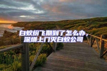 白蟻紛飛期到了怎么辦，深圳上門滅白蟻公司