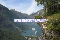 家庭白蟻如何防治？