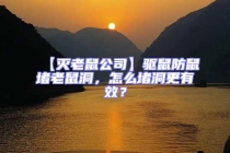 【滅老鼠公司】驅鼠防鼠堵老鼠洞，怎么堵洞更有效？