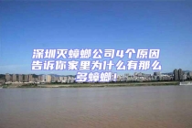 深圳滅蟑螂公司4個原因告訴你家里為什么有那么多蟑螂！