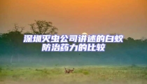 深圳滅蟲公司講述的白蟻防治藥力的比較