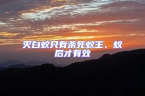 滅白蟻只有殺死蟻王、蟻后才有效