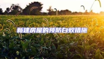 新建房屋的預(yù)防白蟻措施