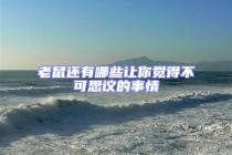 老鼠還有哪些讓你覺(jué)得不可思議的事情