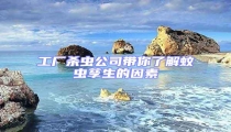 工廠殺蟲公司帶你了解蚊蟲孳生的因素