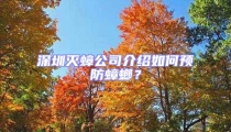 深圳滅蟑公司介紹如何預防蟑螂？