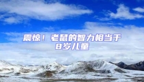 震驚！老鼠的智力相當(dāng)于8歲兒童