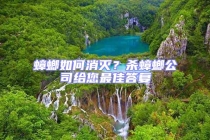 蟑螂如何消滅？殺蟑螂公司給您最佳答復