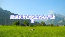 深圳家有白蟻怎么辦.找蟲害