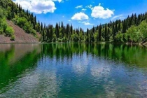 諸暨一白蟻巢里，蟻后竟有拇指大