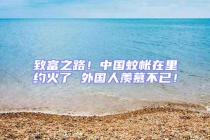 致富之路！中國(guó)蚊帳在里約火了 外國(guó)人羨慕不已！