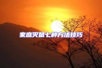 家庭滅鼠七種方法技巧