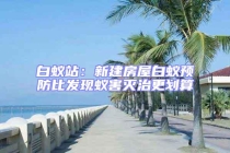 白蟻站：新建房屋白蟻預防比發現蟻害滅治更劃算