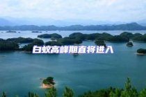 白蟻高峰期直將進入