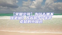 【滅鼠公司】為什么抓不住老鼠？告訴你9個關(guān)于老鼠的小知識
