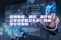 深圳家庭、酒店、餐廳辦公室進老鼠怎么辦？找殺蟲公司蟲控