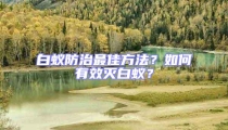 白蟻防治最佳方法？如何有效滅白蟻？