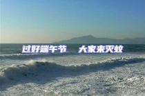 過好端午節  大家來滅蚊